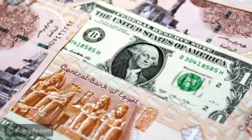 الدولار بـ 47.25 جنيها.. تحديث جديد لأسعار العملات الأجنبية بالبنوك المصرية اليوم